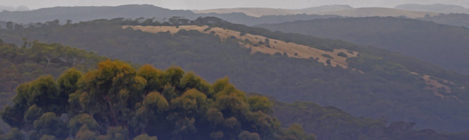 A stylized photograph of the landscape on the Fleurieu Peninsula in South Australia.